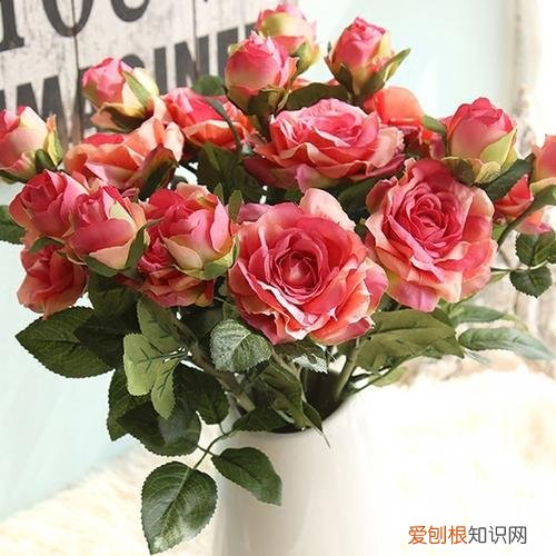 你有喜欢的花吗他们带给你怎样的思考，喜欢花，不知道怎么开始，不如从这4点开始了解，学会了一套通用