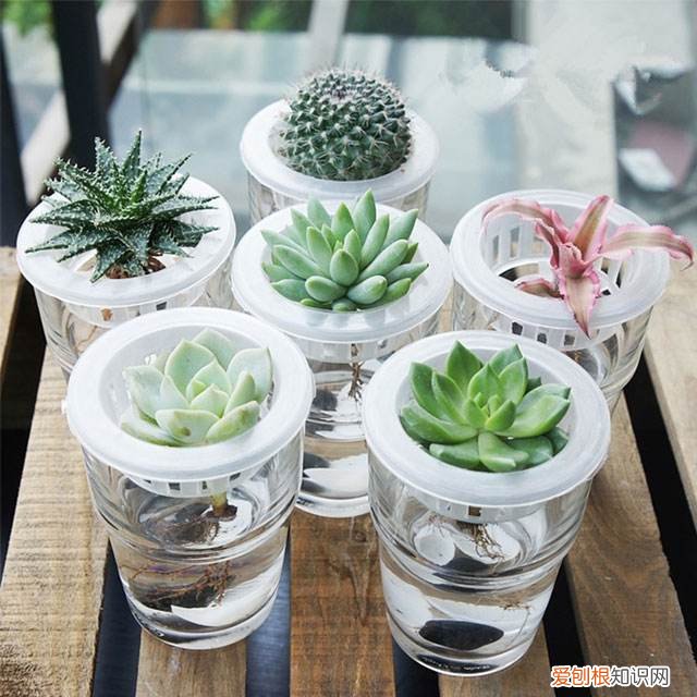 你有喜欢的花吗他们带给你怎样的思考，喜欢花，不知道怎么开始，不如从这4点开始了解，学会了一套通用