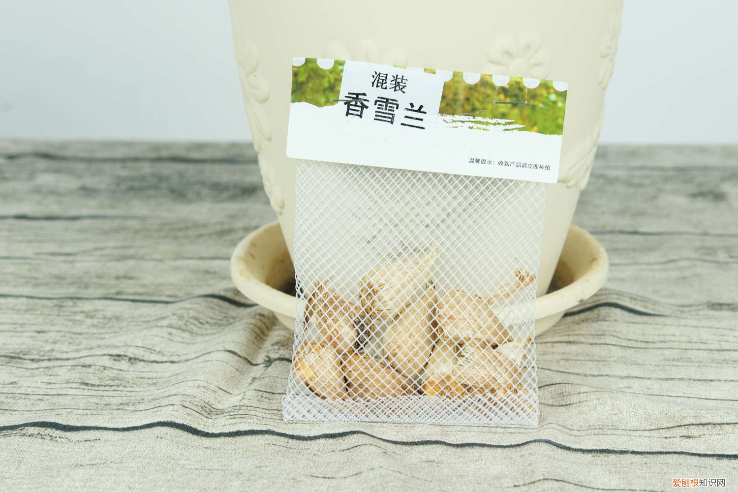 香雪兰种球的保存方法 香雪兰球根保存时间