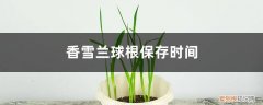 香雪兰种球的保存方法 香雪兰球根保存时间