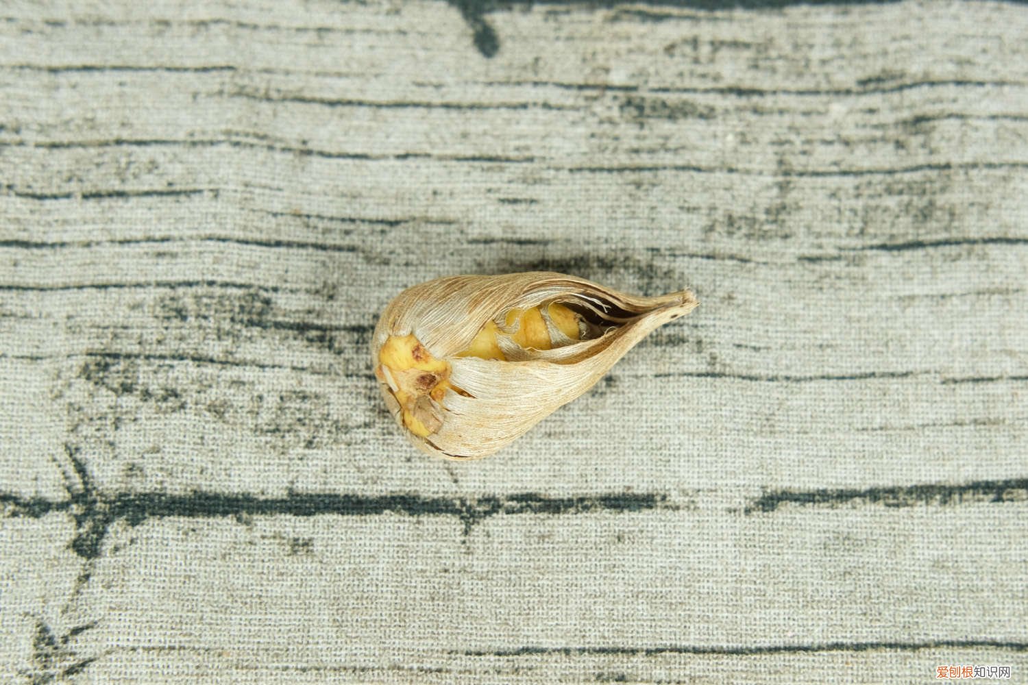 香雪兰可以剪叶子吗 香雪兰可以剪叶子吗