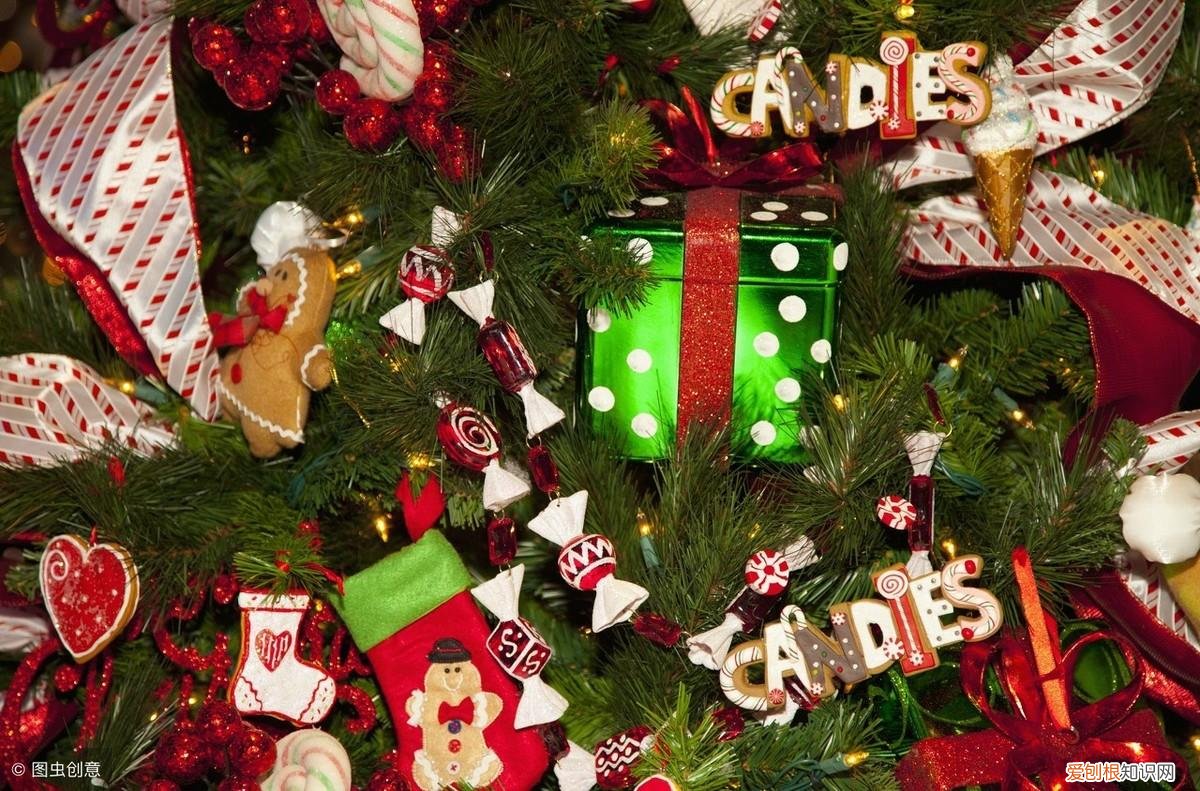 放假宠物怎么办,宠物假期危险-以及如何保持安全!