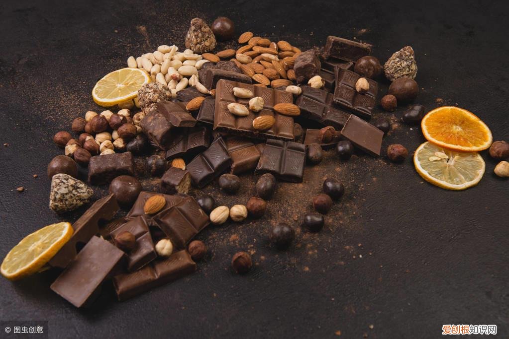 放假宠物怎么办,宠物假期危险-以及如何保持安全!