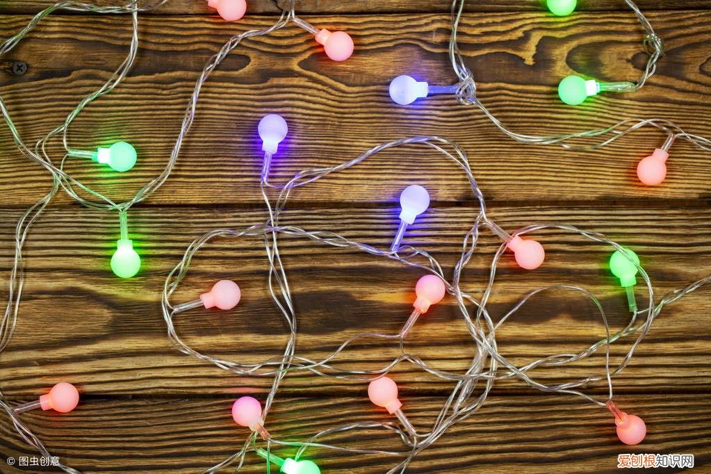 放假宠物怎么办,宠物假期危险-以及如何保持安全!