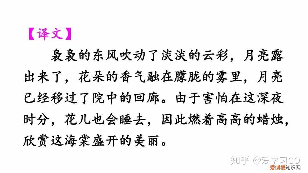 三年级下册第13课花钟的笔记怎么画，部编版三年级下册第13课《花钟》图文讲解+知识点梳理