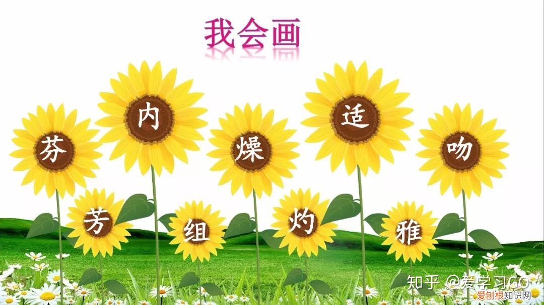 三年级下册第13课花钟的笔记怎么画，部编版三年级下册第13课《花钟》图文讲解+知识点梳理