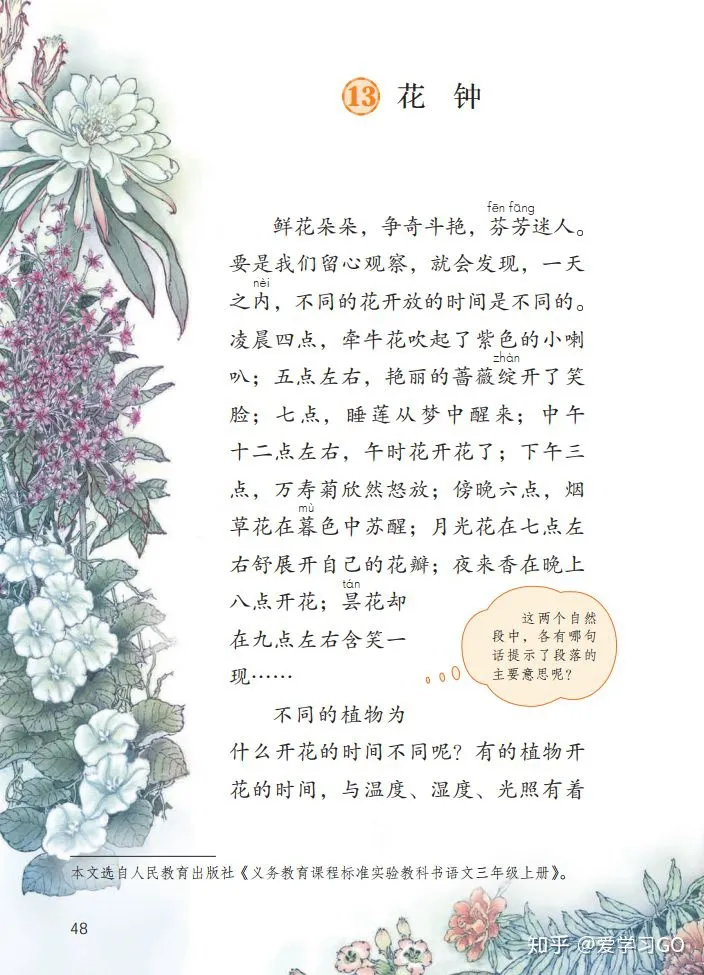 三年级下册第13课花钟的笔记怎么画，部编版三年级下册第13课《花钟》图文讲解+知识点梳理