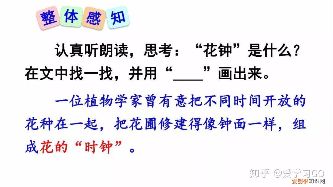 三年级下册第13课花钟的笔记怎么画，部编版三年级下册第13课《花钟》图文讲解+知识点梳理