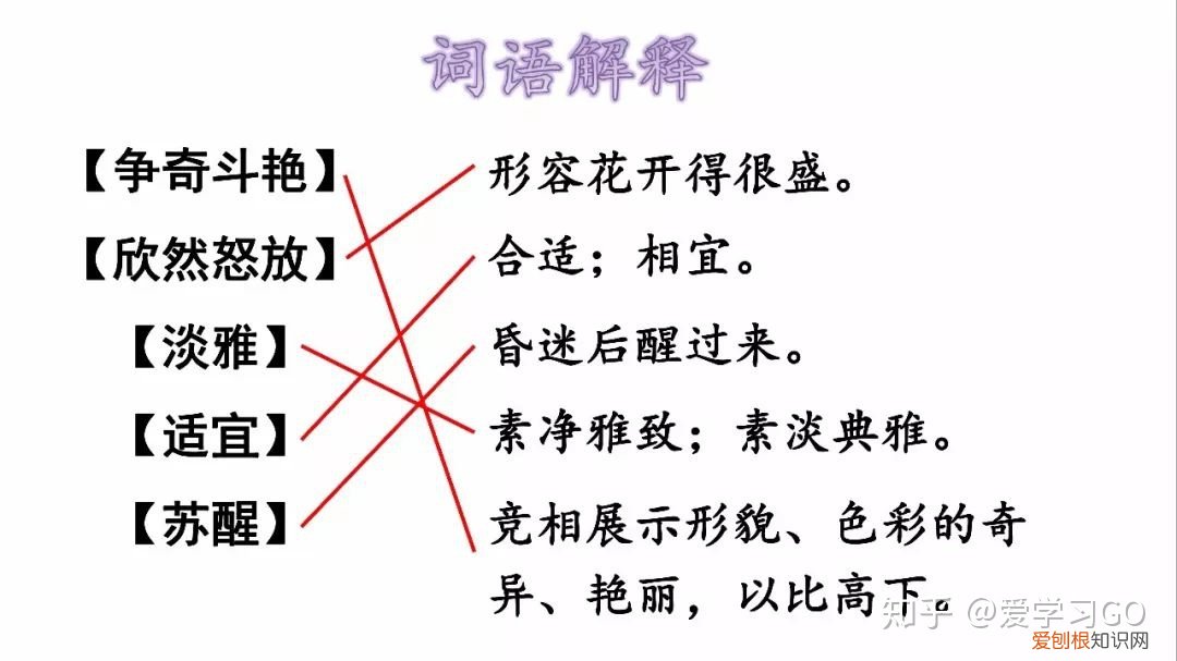 三年级下册第13课花钟的笔记怎么画，部编版三年级下册第13课《花钟》图文讲解+知识点梳理