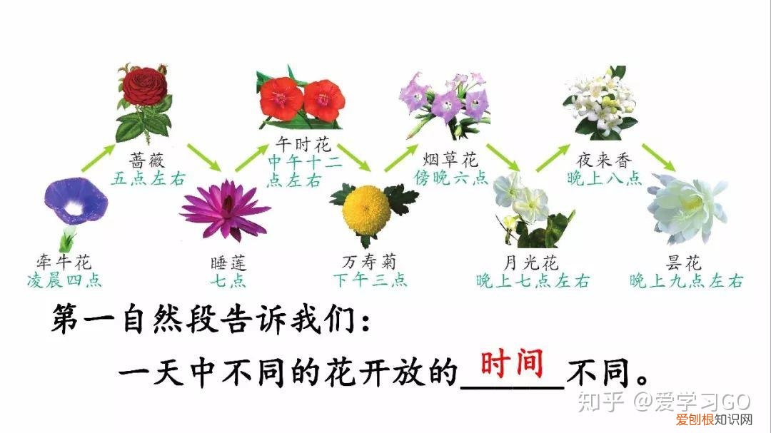 三年级下册第13课花钟的笔记怎么画，部编版三年级下册第13课《花钟》图文讲解+知识点梳理
