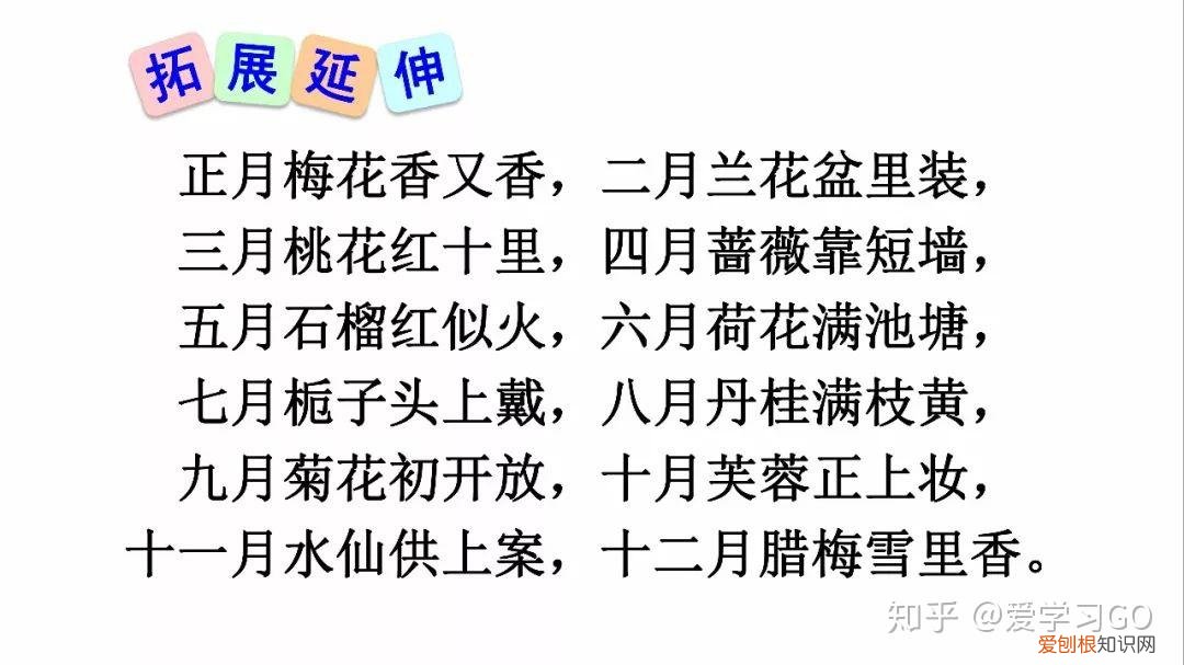 三年级下册第13课花钟的笔记怎么画，部编版三年级下册第13课《花钟》图文讲解+知识点梳理