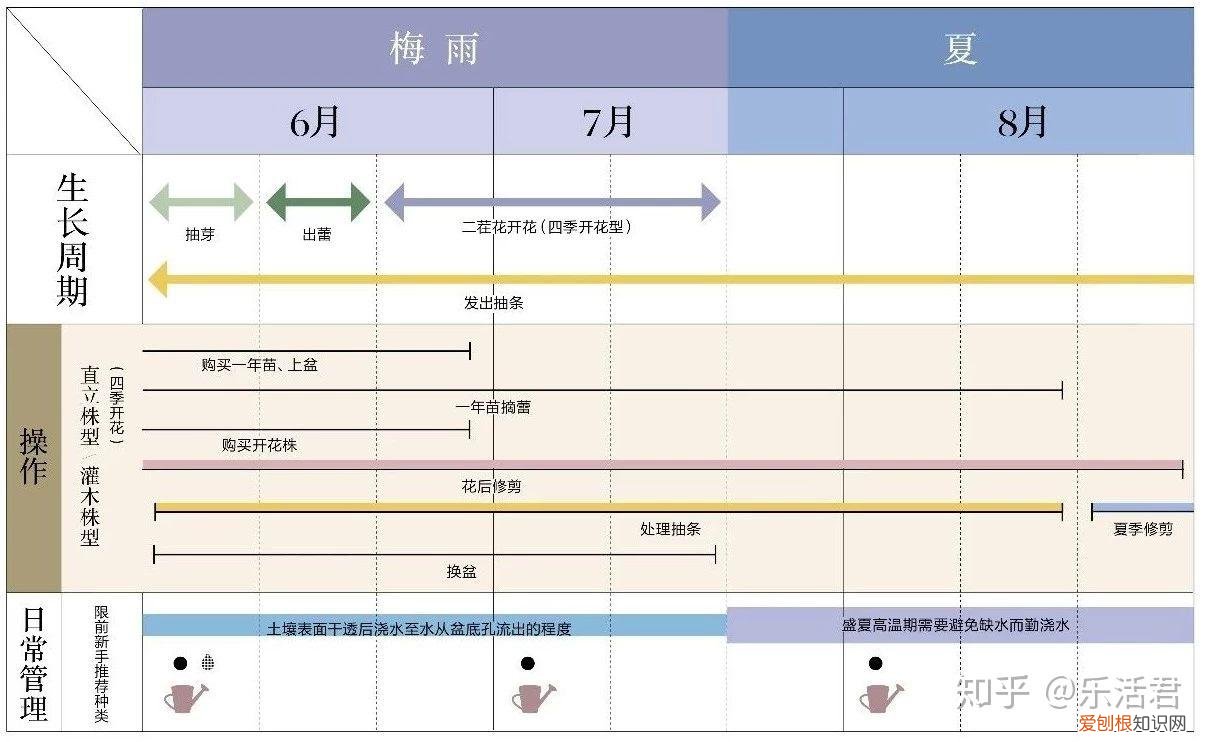 玫瑰月季盆栽图片大全，园艺课｜实用家庭玫瑰、月季种植新手入门养护术