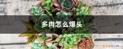 多肉怎样爆头 多肉怎么爆头