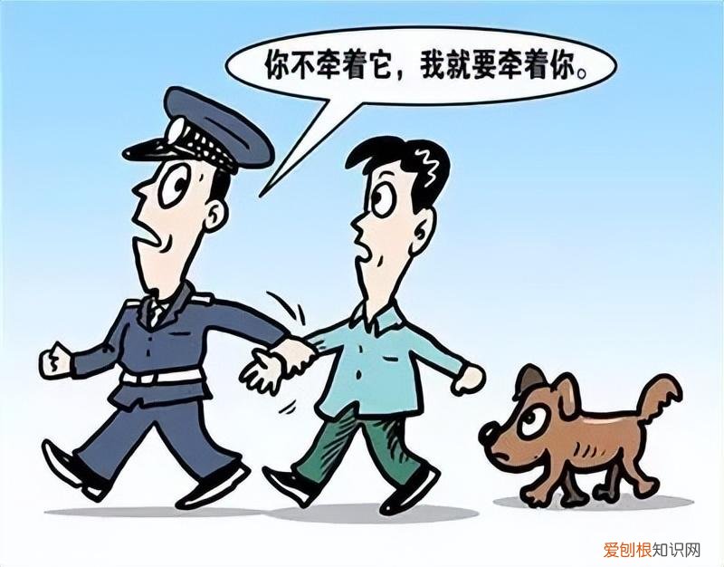 爱护流浪动物的倡议书400字，请转发！文明养犬、关爱流浪动物倡议书