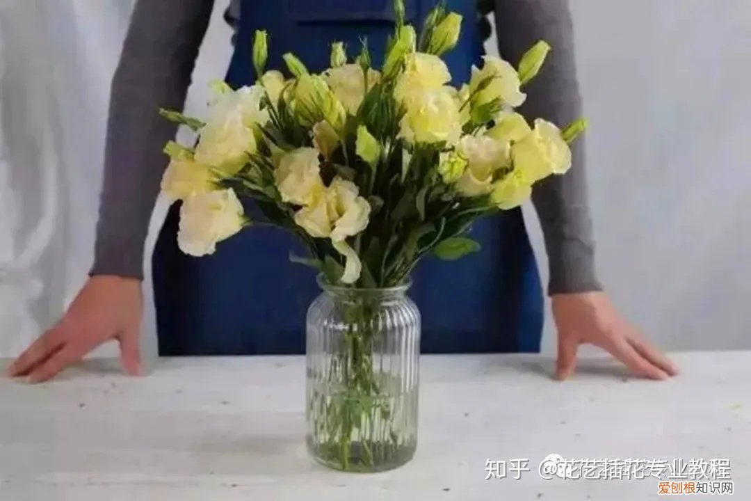 新鲜花材日常养护，鲜花养护|家庭6种常见花材详细养护方法