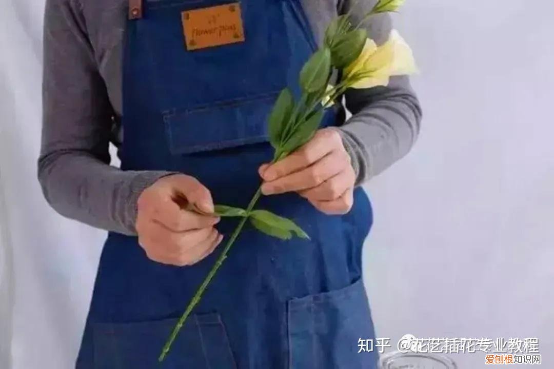 新鲜花材日常养护，鲜花养护|家庭6种常见花材详细养护方法