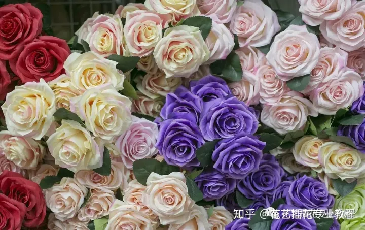 新鲜花材日常养护，鲜花养护|家庭6种常见花材详细养护方法