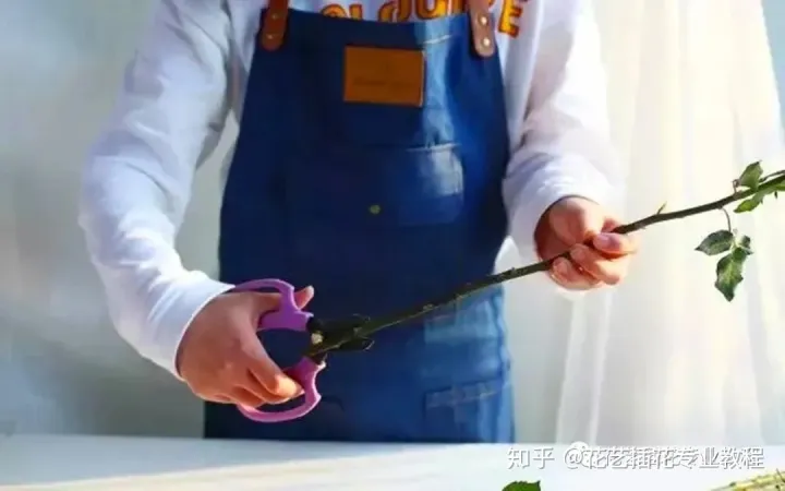 新鲜花材日常养护，鲜花养护|家庭6种常见花材详细养护方法