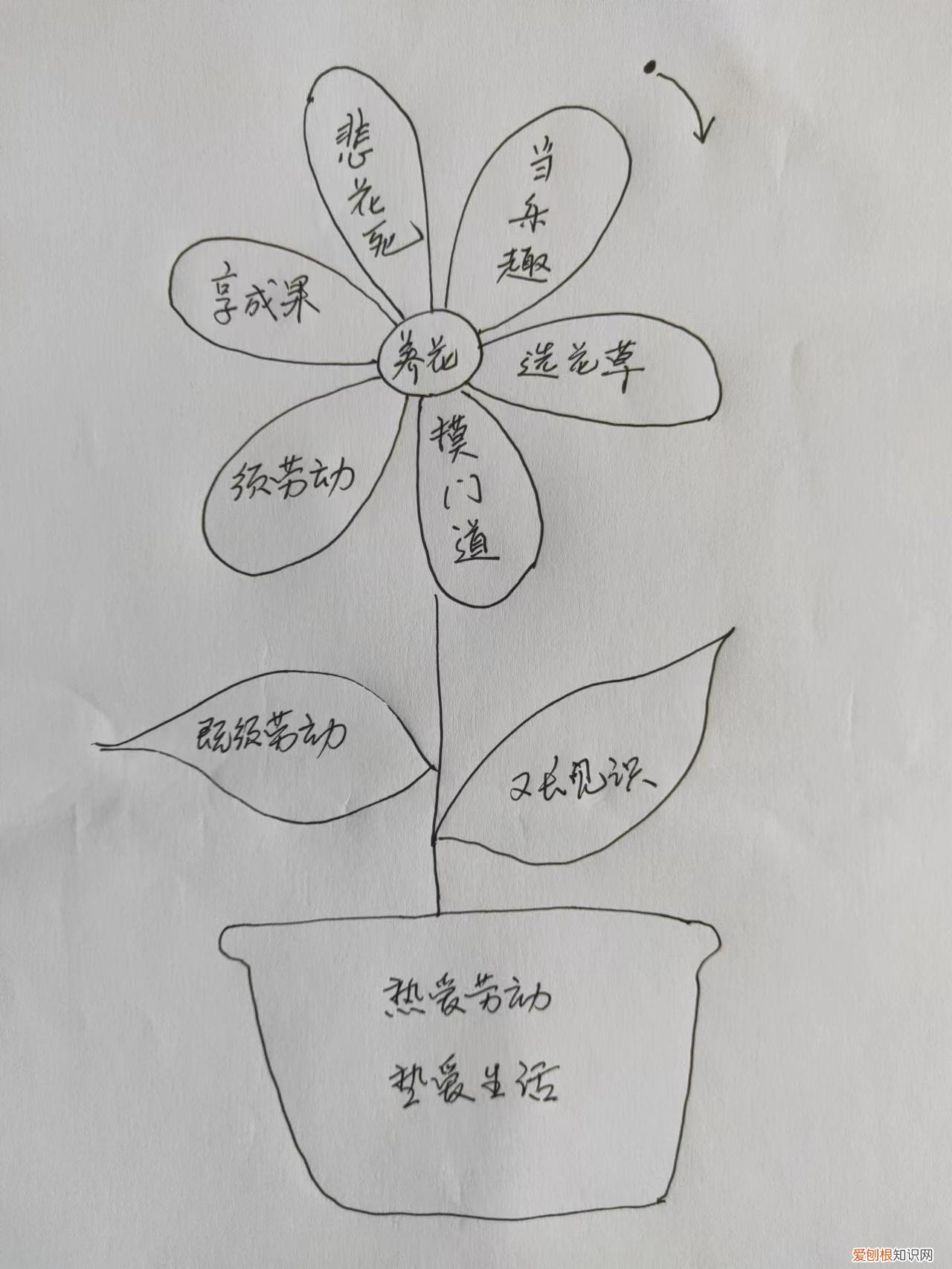 养花是一篇优美的散文记述了老舍先生养花的乐趣，初中现代文阅读，赏析老舍先生的《养花》