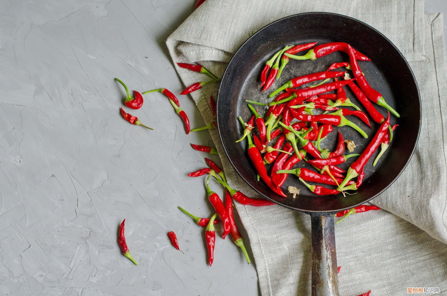 辣椒怎样育苗种子 辣椒怎样育苗