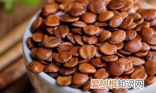 炒酸枣仁的作用和功效禁忌 炒酸枣仁的作用