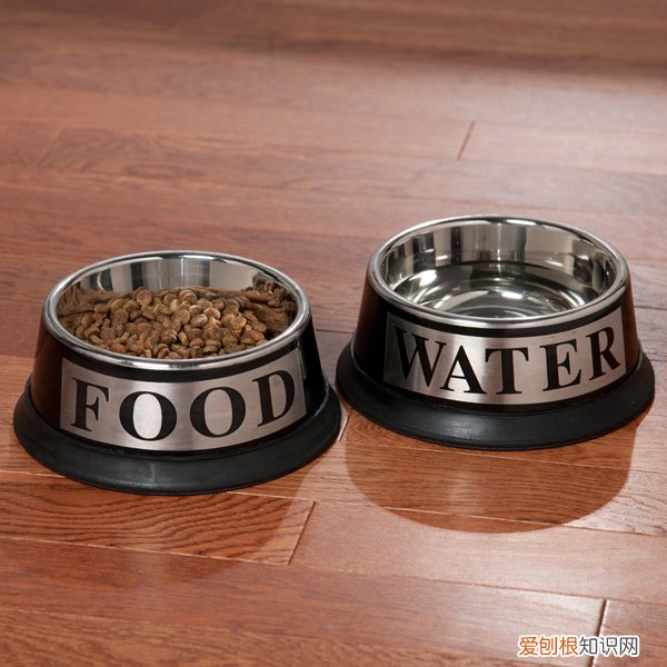 狗粮泡不软是怎么回事 为什么狗粮中心泡不软