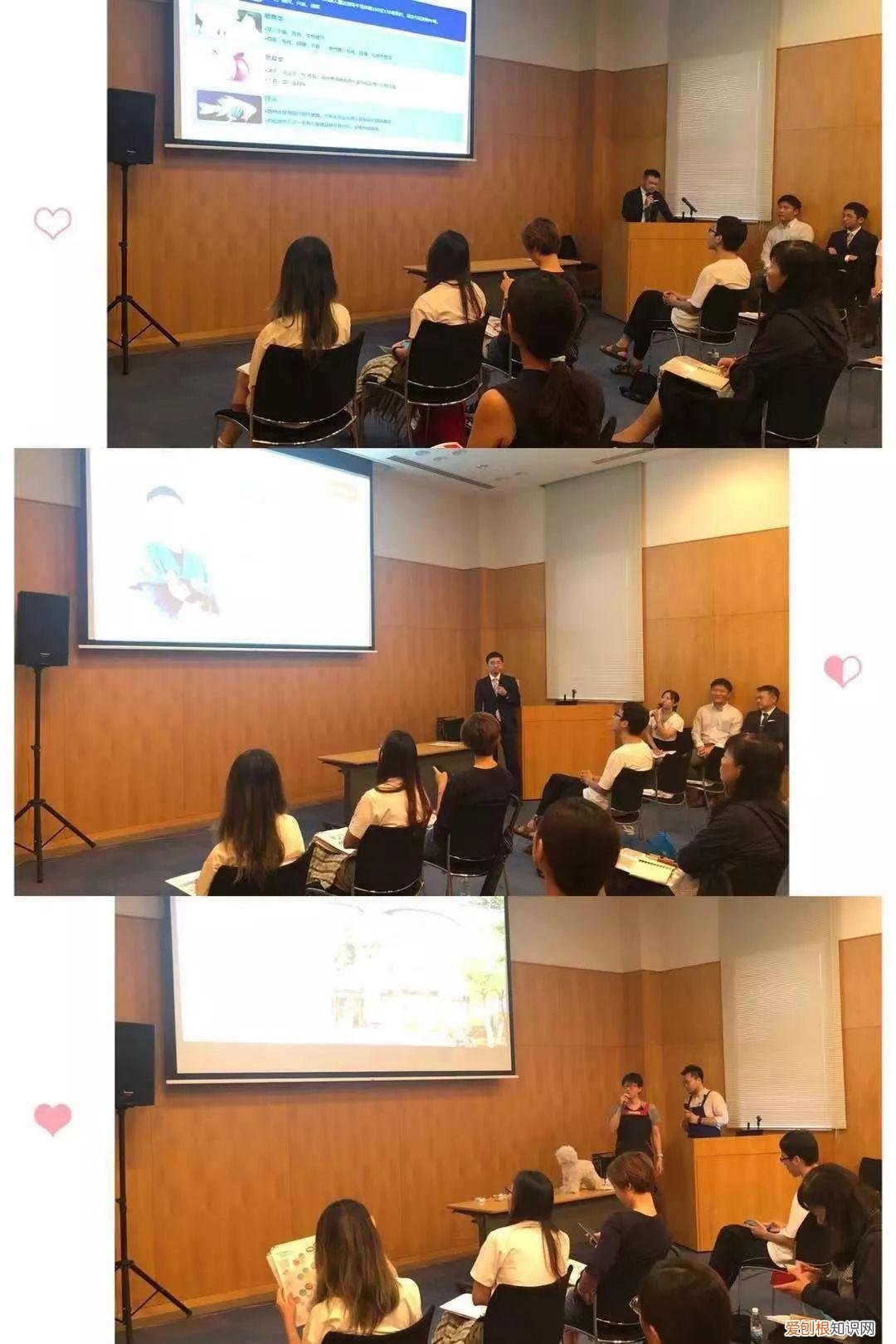 动物的健康护理 关爱动物协会，成功举办“宠物也是家庭成员”讲座 ~ 系列讲座“身体的使用说明”第5期