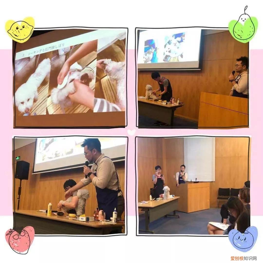 动物的健康护理 关爱动物协会，成功举办“宠物也是家庭成员”讲座 ~ 系列讲座“身体的使用说明”第5期