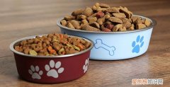 狗粮生虫子了还能吃吗有毒吗 狗粮生虫子了还能吃吗