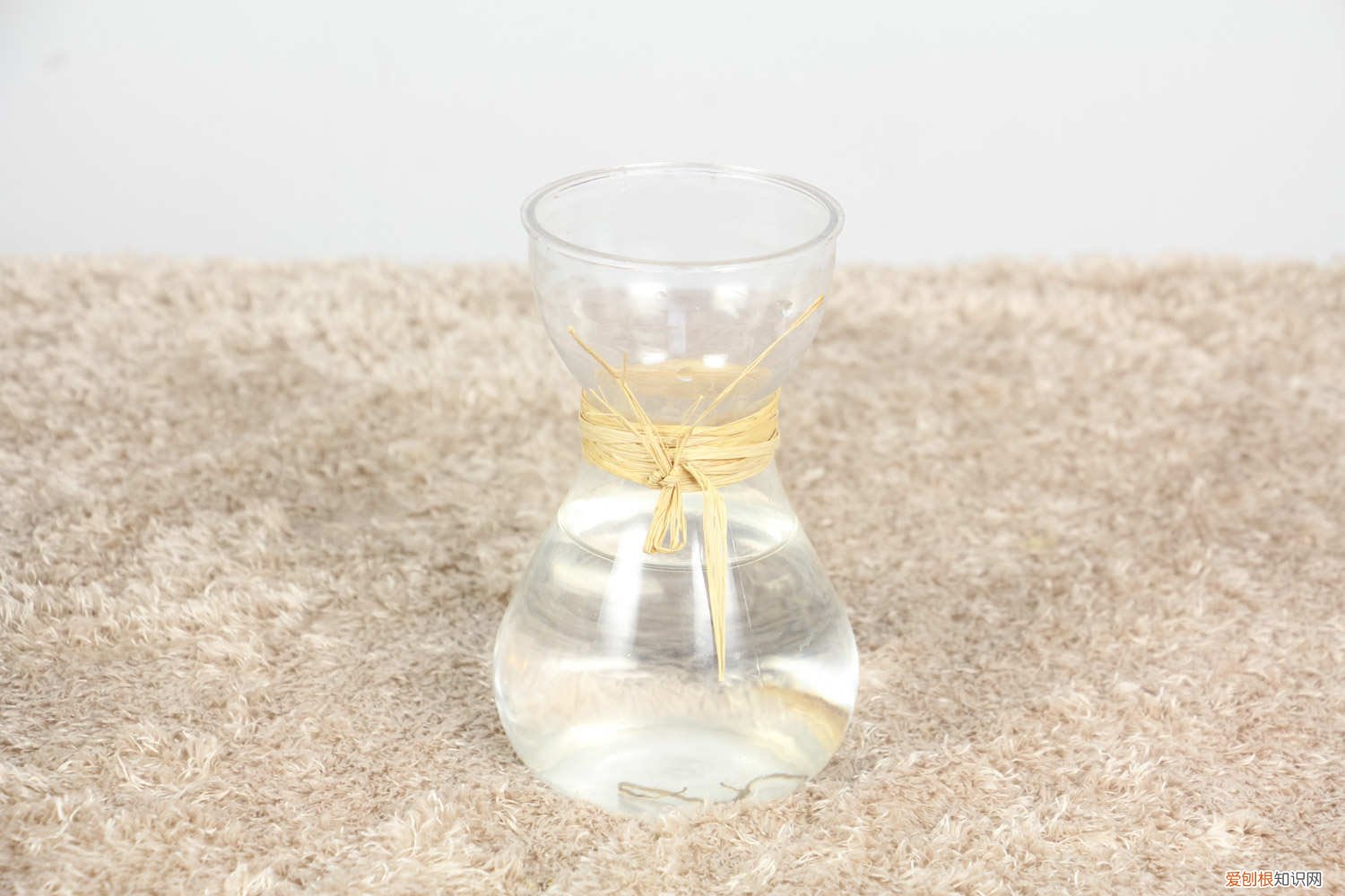 水仙花的叶子可以剪吗视频 水仙花的叶子可以剪吗