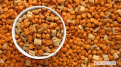 狗粮为什么会有虫子呢 狗粮为什么会有虫子