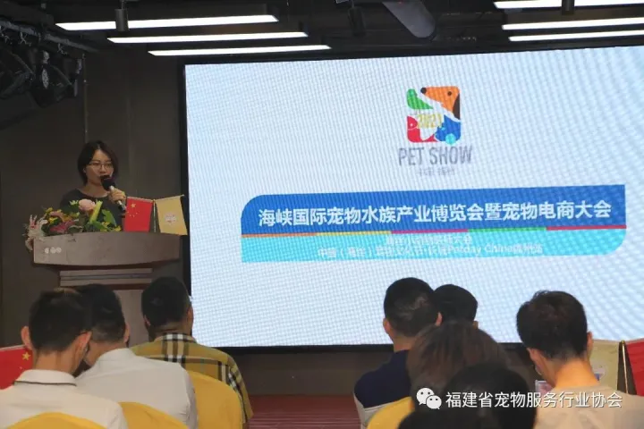 福建宠物展，端午节回顾：福州宠物展走进“文明养宠系列活动”
