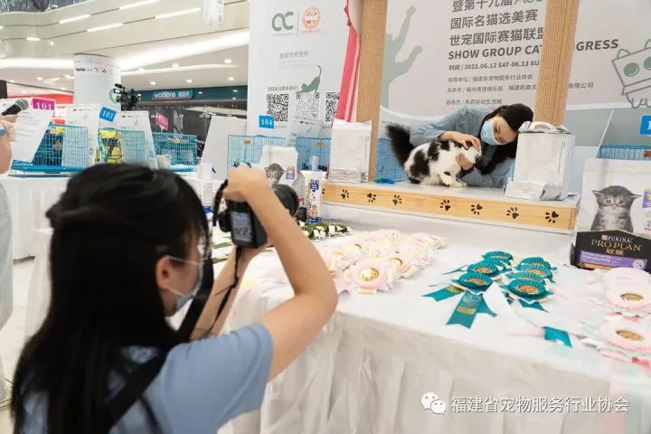 福建宠物展，端午节回顾：福州宠物展走进“文明养宠系列活动”