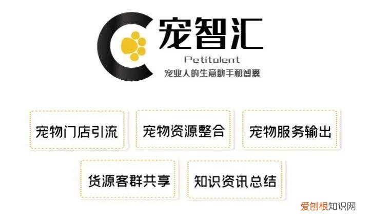 狗剩离婚了吗，离婚后，宠物怎么办
