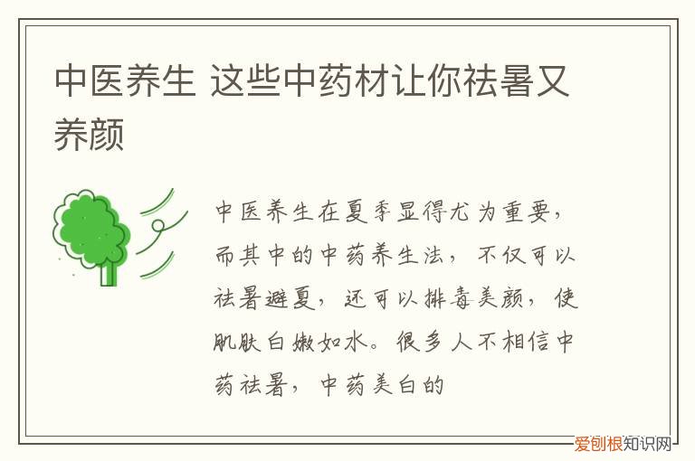 中医养生 这些中药材让你祛暑又养颜