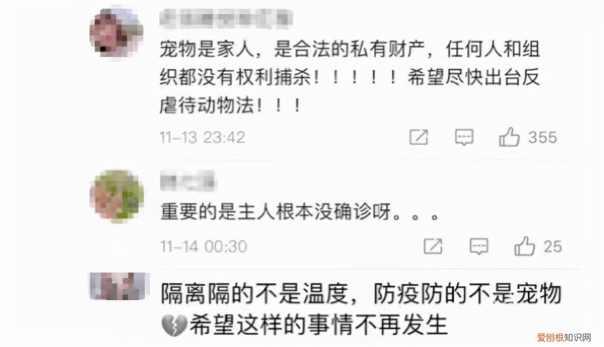 集中隔离带的宠物怎么办，主人被隔离，家中宠物如何处理？专家：社区治理应多一份“温度”