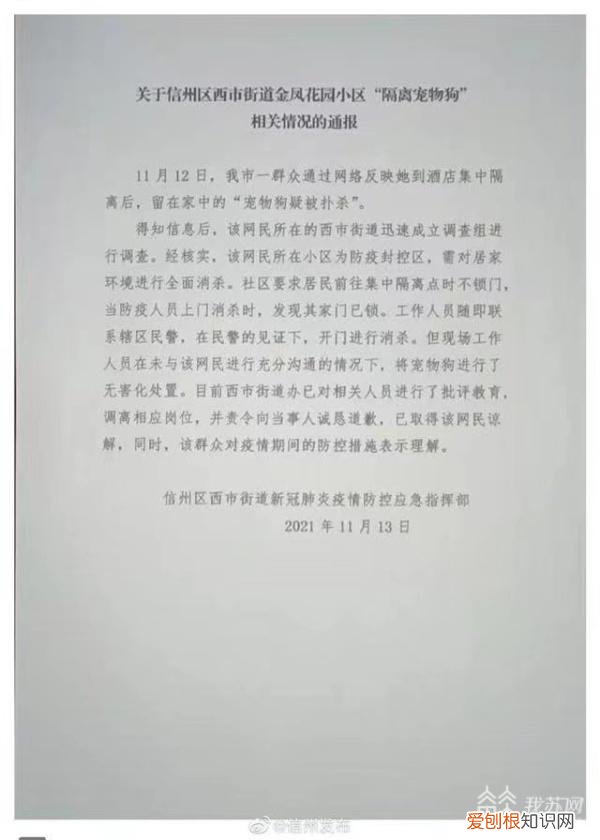 集中隔离带的宠物怎么办，主人被隔离，家中宠物如何处理？专家：社区治理应多一份“温度”