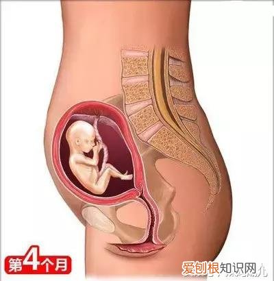 干货太多，实用收藏 关于母婴用品的问题研究，二十六个母婴常识！