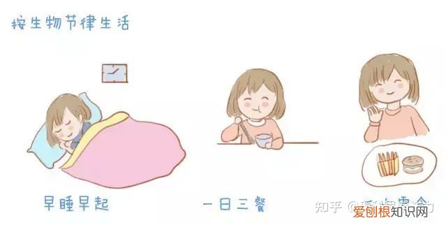 如何给家长解释幼儿园应该学什么,家长须知丨幼儿园都教哪些内容?