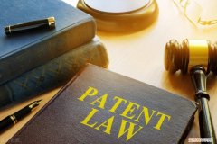 根据专利法的规定,不能授予，关于《专利法》第二十五条不授予专利权客体的解释