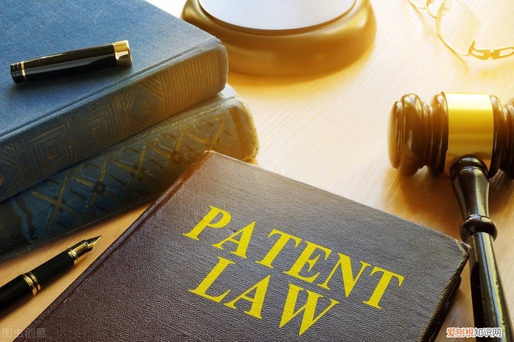 根据专利法的规定,不能授予,关于《专利法》第二十五条不授予专利权客体的解释