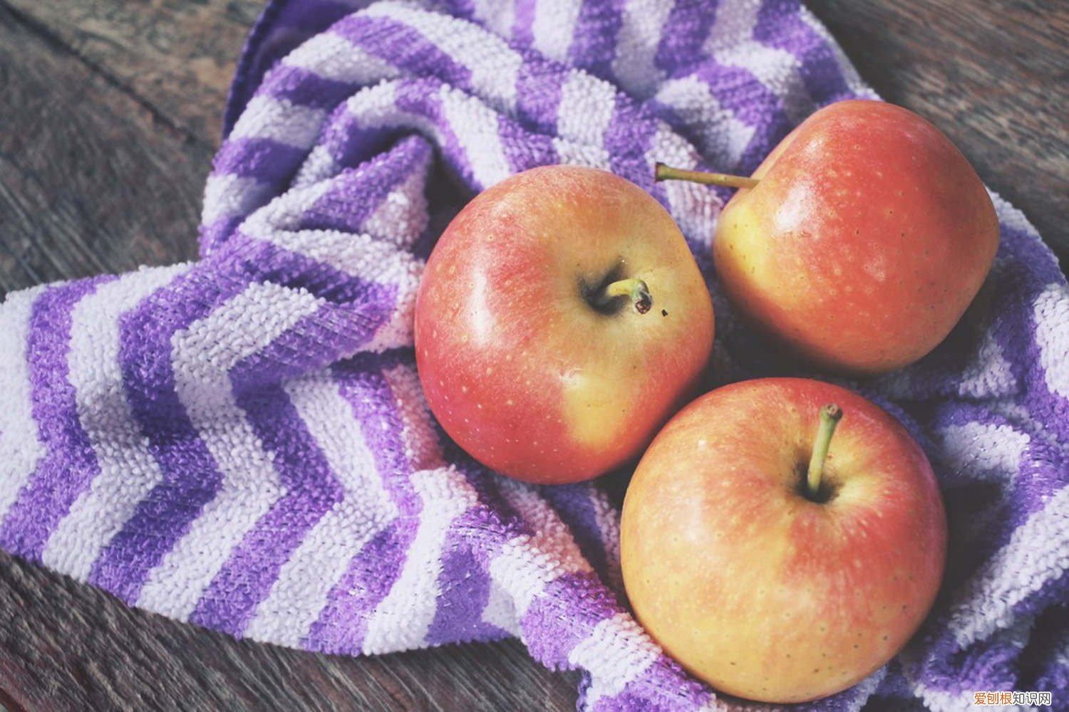 苹果是如何繁殖的 苹果用什么繁殖