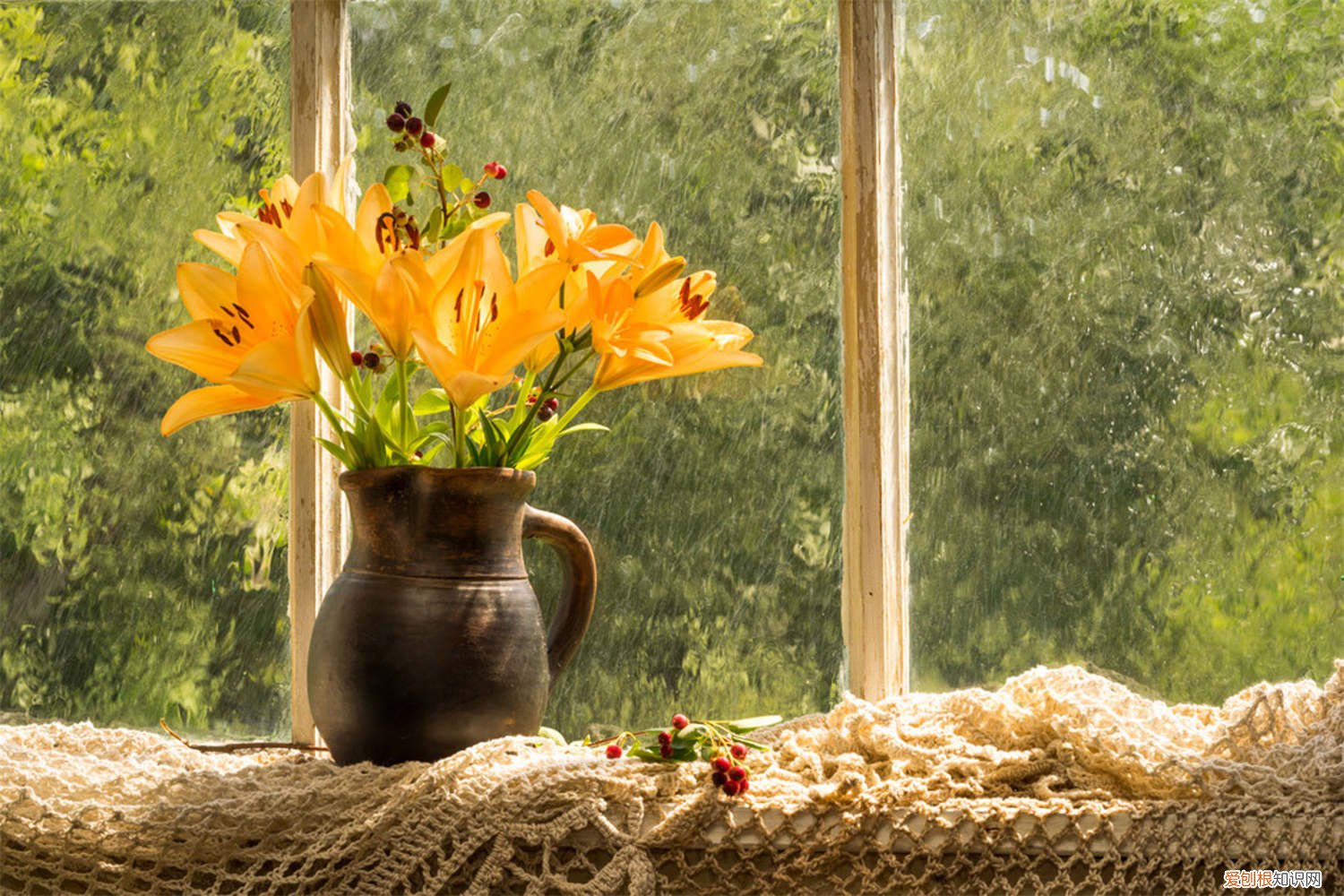 烤箱干花制作 干花制作