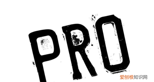 手机por代表什么，手机后缀字母pro是代表什么意思啊