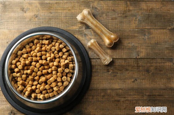 狗粮怎么做才好吃 狗粮怎么做狗狗爱吃