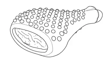 国内宠物食品公司,美国关于宠物食品及零食方面的15个专利分享