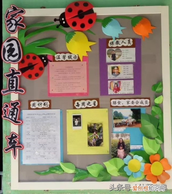 家园联系栏版块在哪找，家园联系栏｜新学期多系列家园联系栏创设，给你不一样的！