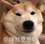 南美冷冻虾,宠物零食冻干的天花板:南美进口超大白对虾,国家专利技术,人食级别!