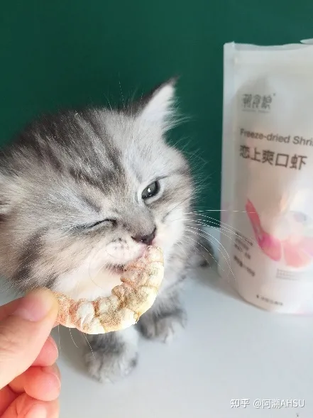 南美冷冻虾,宠物零食冻干的天花板:南美进口超大白对虾,国家专利技术,人食级别!