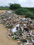 什么人养什么花，养花人都有5个“习惯”，听说都中了，就是养花高手